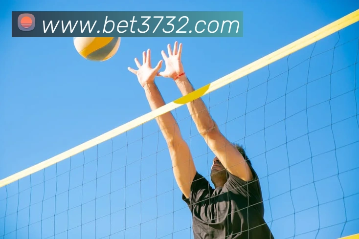 bet365comAPP 封面图
